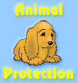Pam Slater on Animal Protection